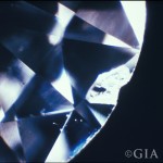 缺口（Chip） 一個空隙可以是因為鑽石表面損耗，通常在鑽石的腰部、切割面的交接或是底尖位置。