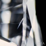 羽裂紋(Feather) 一個在寶石學中常見的字,用來形容白色羽毛狀外表的鑽石內含物。