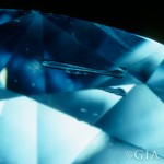 針狀物（Needle） 在鑽石內部一條尖而長的晶體，10倍放大鏡下就像是一條細棒。